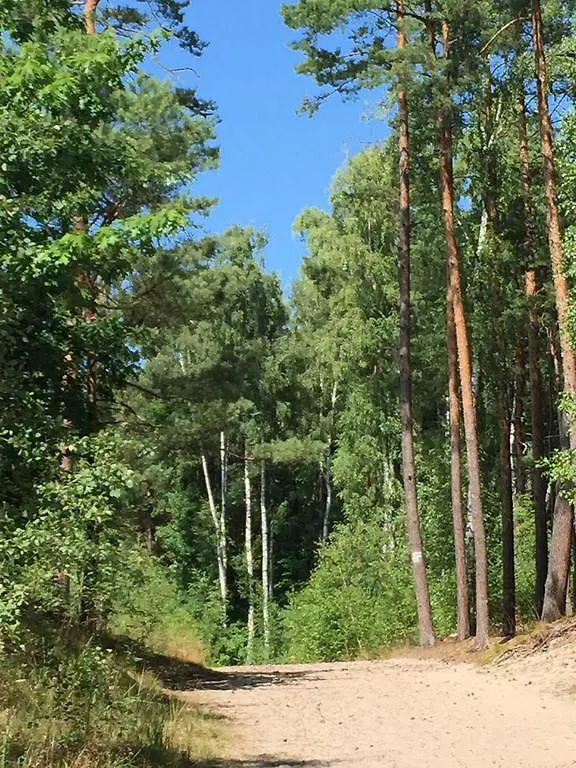 Villa Lawenda Gdansk Holiday home